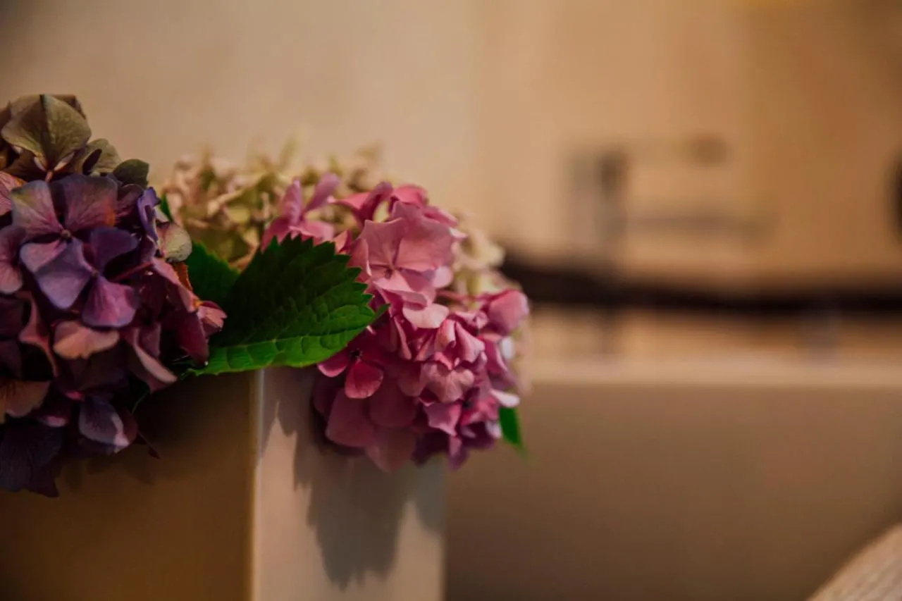 Casa Amici Del Bosco Bed & Breakfast Medolago Italy